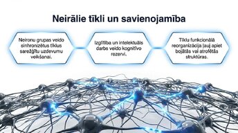Presentations 'Neiroplastiskums un novecošana: vai smadzenes saglabā elastību pēc 60 gadiem', 10.