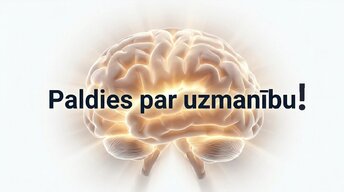 Presentations 'Neiroplastiskums un novecošana: vai smadzenes saglabā elastību pēc 60 gadiem', 16.