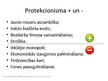 Presentations 'Protekcionisms', 19.