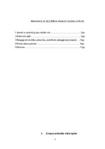 Practice Reports 'Prakse pirmsskolā', 2.