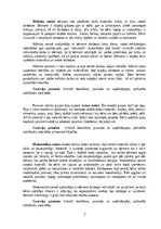 Practice Reports 'Prakse pirmsskolā', 4.