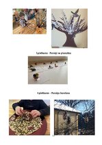 Practice Reports 'Prakse pirmsskolā', 14.