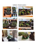 Practice Reports 'Prakse pirmsskolā', 15.