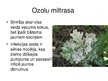 Presentations 'Pārnadžu postījumi jaunaudzēs un meža fitopatoloģija', 6.