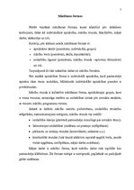 Research Papers 'Mācīšanas metodes, formas un veidi', 7.