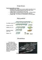 Research Papers 'Pasaules zivsaimniecība', 2.