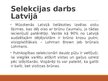 Presentations 'Selekcija Latvijā - dējējvistas', 10.