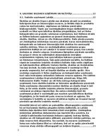Research Papers 'Šķelda un skaidas', 3.