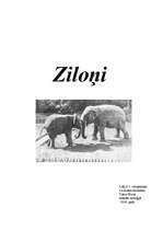 Research Papers 'Ziloņi', 1.