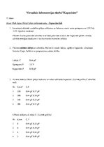 Samples 'Virtuālais laboratorijas darbs ”Kapacitāte”', 1.