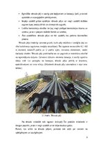 Research Papers 'Pāļu tipi', 7.