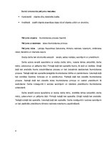 Research Papers 'Likumdošanas process Saeimā', 4.