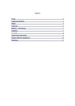 Research Papers 'Uzņēmuma plānošanas mērķi, uzdevumi, principi', 1.