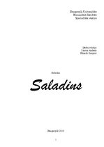 Research Papers 'Saladīns un viņa dzīves gājums', 1.