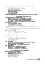 Samples 'Darba aizsardzības instrukcija kravu izvietošanai un nostiprināšanai transportlī', 2.