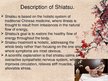 Presentations 'Shiatsu', 3.