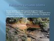 Presentations 'Latvijas skaistākās upes: Daugava un Gauja', 14.