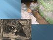 Presentations 'Latvijas skaistākās upes: Daugava un Gauja', 18.