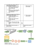Summaries, Notes 'Pirmsskolas izglītības 3. posma sporta nodarbības konspekts', 4.