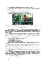 Term Papers 'Darba risku samazināšana mežizstrādes darbos', 15.