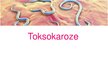 Presentations 'Toksokaroze', 1.