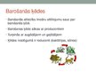 Presentations 'Barības tīkli ekosistēmās un ekoloģiskā piramīda', 3.
