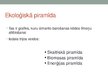Presentations 'Barības tīkli ekosistēmās un ekoloģiskā piramīda', 9.