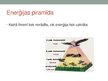 Presentations 'Barības tīkli ekosistēmās un ekoloģiskā piramīda', 12.