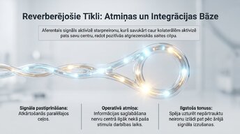 Presentations 'Starpneironi: neirālo tīklu arhitekti', 8.