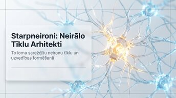 Presentations 'Starpneironi: neirālo tīklu arhitekti', 14.