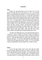 Research Papers 'Čigānu tautības iedzīvotāji', 4.