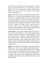 Summaries, Notes 'Lietu tiesības: institūti, tiesību aizsardzība un praktiskā pielietošana Latvijā', 5.