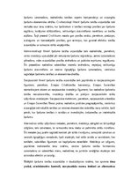 Summaries, Notes 'Lietu tiesības: institūti, tiesību aizsardzība un praktiskā pielietošana Latvijā', 19.