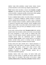 Summaries, Notes 'Lietu tiesības: institūti, tiesību aizsardzība un praktiskā pielietošana Latvijā', 23.