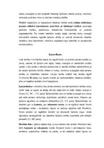 Summaries, Notes 'Lietu tiesības: institūti, tiesību aizsardzība un praktiskā pielietošana Latvijā', 27.