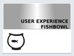 Presentations 'User experience fishbowl', 1.