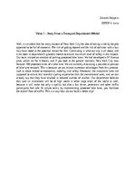 Essays 'Bike lanes in New York - a story from a Transport Department', 1.