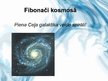 Presentations 'Fibonači skaitļi', 13.