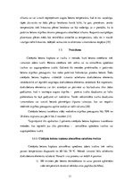 Research Papers 'Cietējoša betona kopšana', 13.