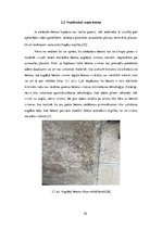 Research Papers 'Cietējoša betona kopšana', 18.