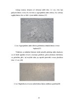 Research Papers 'Cietējoša betona kopšana', 19.