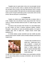 Research Papers 'Ģenētiskās modifikācijas dzīvnieku valsts izcelsmes produktos', 9.