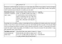 Practice Reports 'Aktīvā mācību un audzināšanas prakse pirmsskolā II', 12.