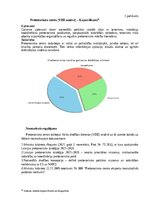 Research Papers 'Kriminālsodu politika un noziedzības attīstības tendences - Terorisms', 29.
