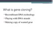 Presentations 'Gene Cloning', 5.