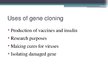 Presentations 'Gene Cloning', 8.