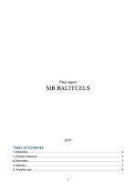 Research Papers 'Company "MB Baltfuels"', 1.
