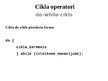 Presentations 'C++ Cikla operatori', 3.