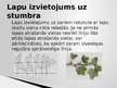 Presentations 'Zelta griezums', 12.