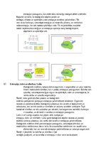 Summaries, Notes 'Atbildes par medicīnas fiziku', 10.